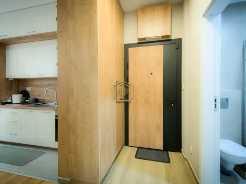 Izdavanje, jednosoban stan, 40m², Tološi, Podgorica - image 11