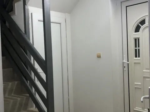 Izdavanje, kuća, 350m², Donji Kokoti, Podgorica - image 10