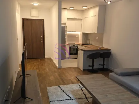 Rent, one bedroom apartment, 46m², Stari Aerodrom, Podgorica - image 2