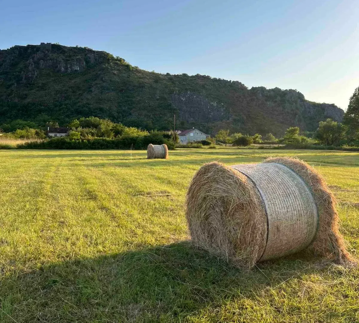 Prodaja, plac, 13391m², Danilovgrad, Crna Gora