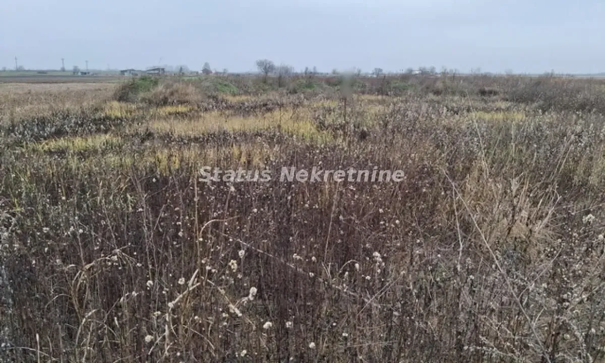 Prodaja, plac, 769m², Futog, Novi Sad Sve Podlokacije