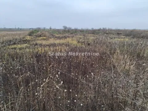 Prodaja, plac, 769m², Futog, Novi Sad Sve Podlokacije - image 2