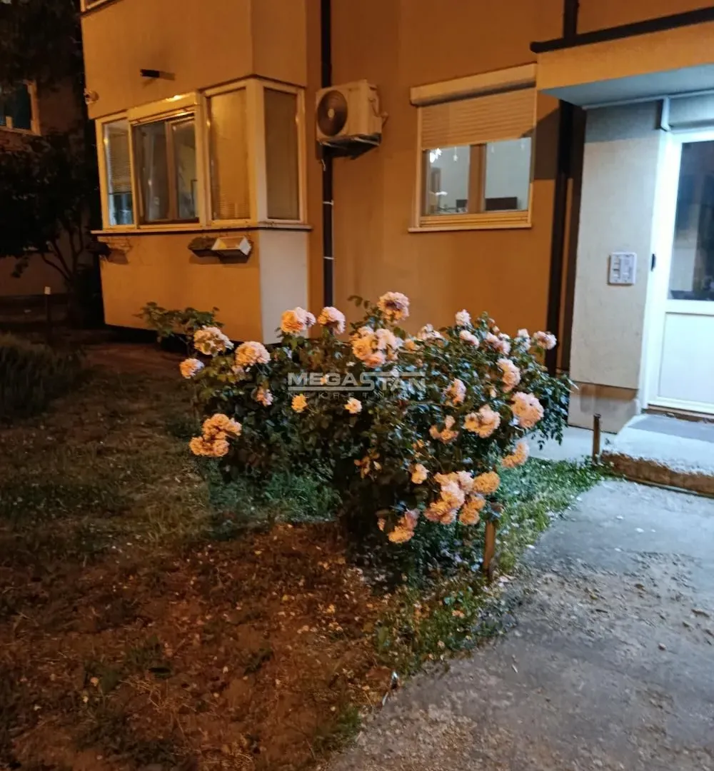 Izdavanje, stan, 23m², Krnjaca, Palilula Sve Podlokacije