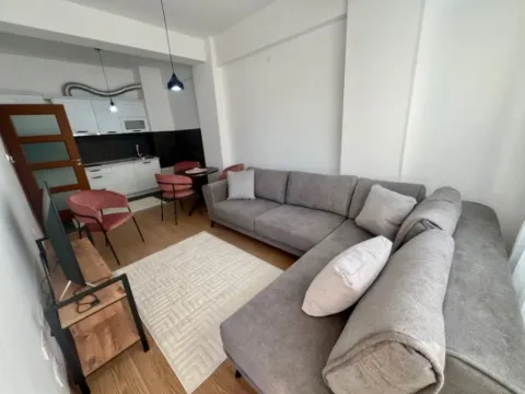 Two Bedroom Apartment for Rent, 57m2, Ljubović, Podgorica