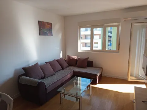 Izdavanje, jednosoban stan, 49m², Central Point, Podgorica - image 1