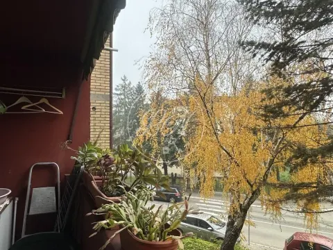 Izdavanje, trosoban stan, 92m², Rakovica, Beograd - image 20