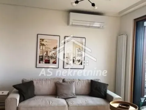 Izdavanje, dvosoban stan, 53m², Vračar Sve Podlokacije, Beograd - image 2