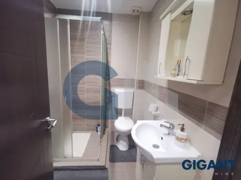 Sale, one bedroom apartment, 36m², Kneževac, Beograd - image 8