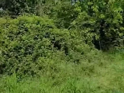 Izdavanje, plac, 2401m², Podgorica, Crna Gora - image 6