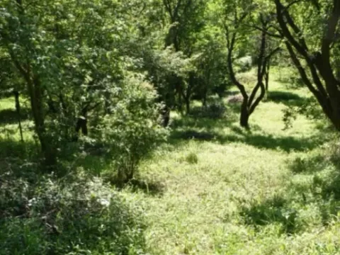 Sale, house, 113m², Novi Sad, Srbija - image 5