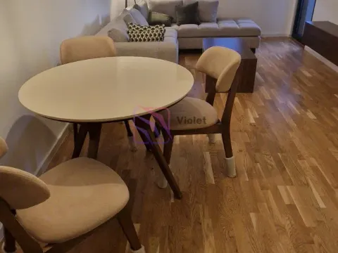 Rent, one bedroom apartment, 46m², Stari Aerodrom, Podgorica - image 2