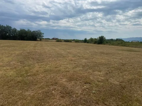 Zemljište in Golubovci