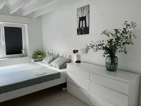 Rent, two bedroom apartment, 44m², Vračar Sve Podlokacije, Beograd - image 7