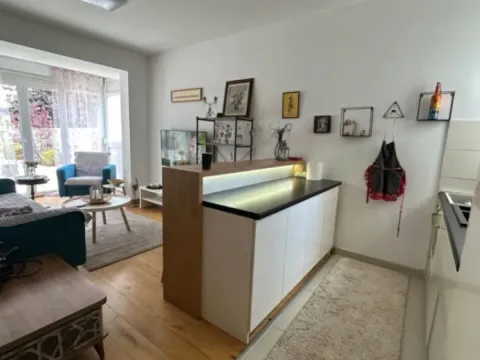 Izdavanje, jednosoban stan, 95m², Ljubović, Podgorica - image 12