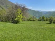 Prodaja,  zemljište, 15000m2, Seljani, Plužine