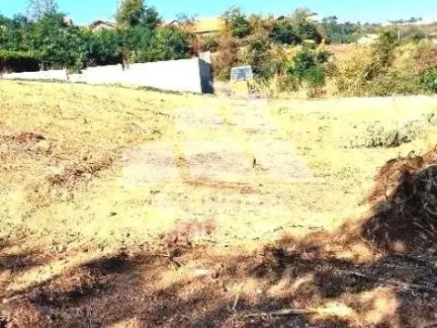 Prodaja, plac, 1000m², Palilula Sve Podlokacije, Beograd - image 8