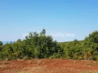 Prodaja, plac, 5600m², Krimovica, Kotor - image 10