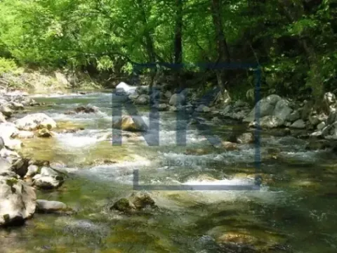 Prodaja, plac, 15588m², Kolašin, Crna Gora - image 4