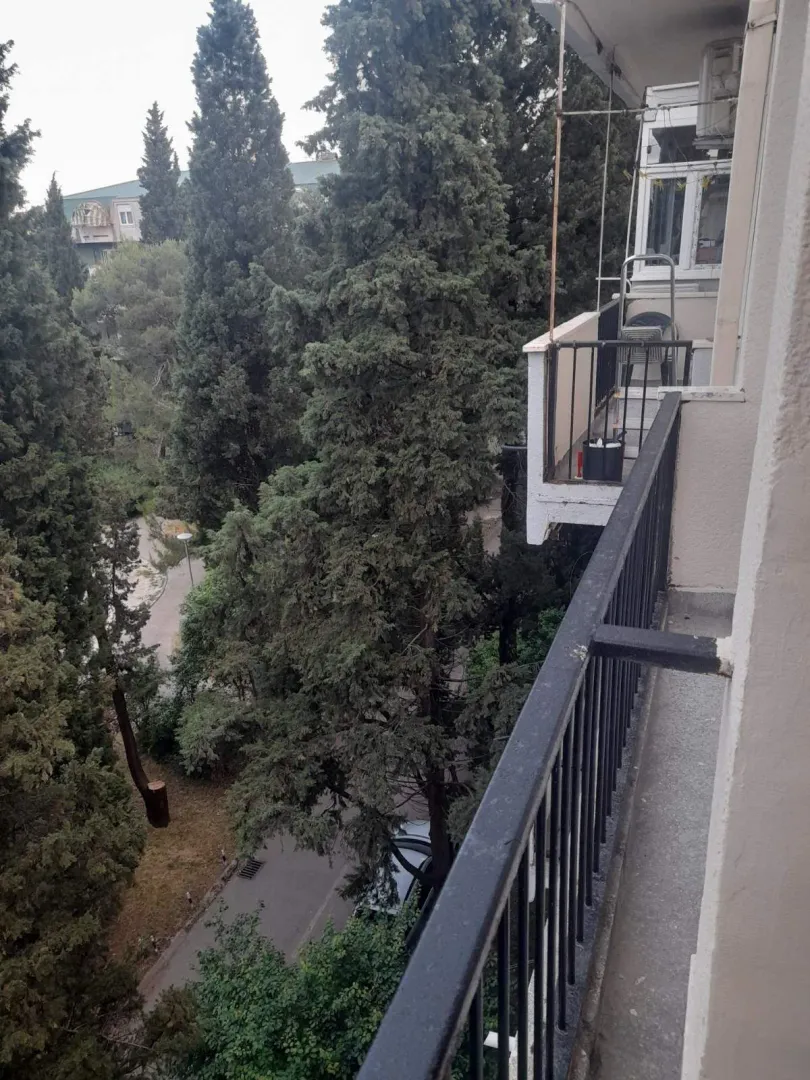 Pogled sa balkona na drveće.