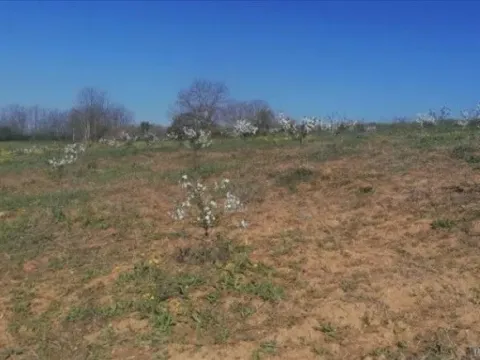 Sale, land lot, 7100m², Umčari, Grocka - image 4