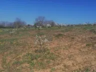 Prodaja, plac, 7100m², Umčari, Grocka - image 4