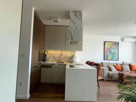 Izdavanje, dvosoban stan, 55m², Vračar Hram, Vračar Sve Podlokacije - image 7