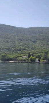 Pogled na obalu i zelenilo sa mora. - image 4