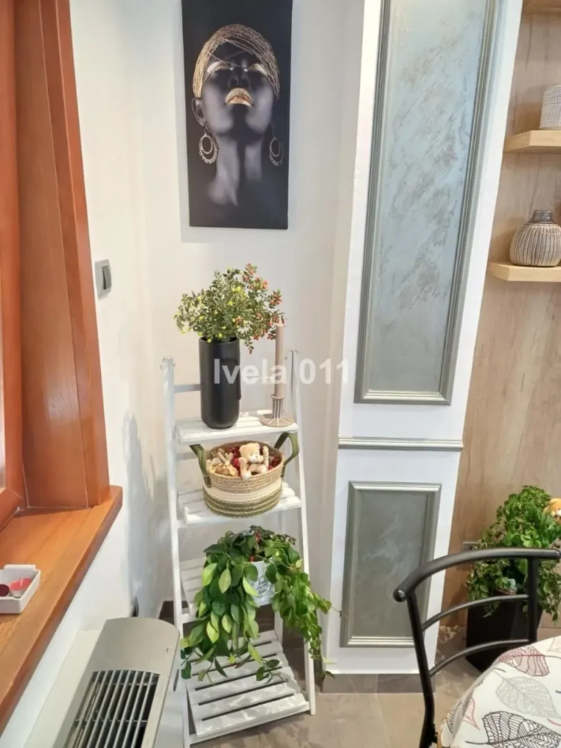 Interior detail with decorative elements, a shelf, and houseplants.