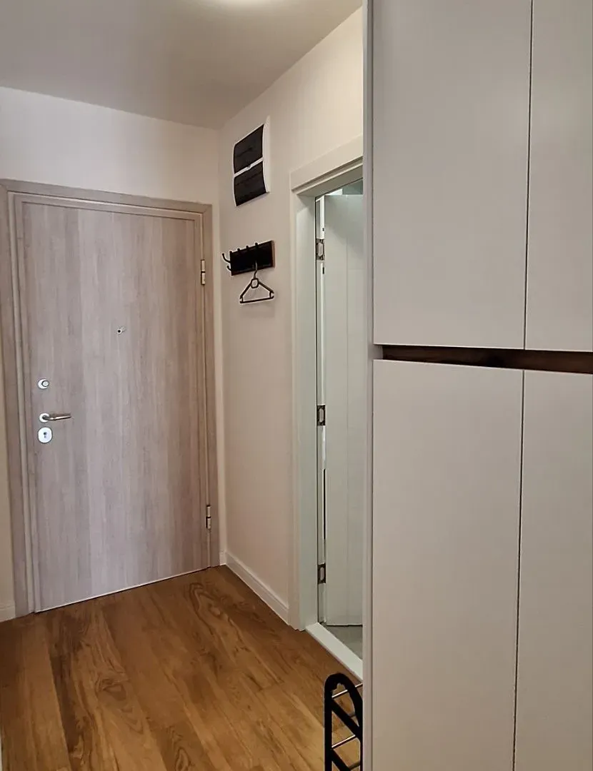 Izdavanje, jednosoban stan, 40m², Central Point, Podgorica