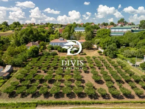 Sale, house, 200m², Mala Ivanča, Sopot - image 4