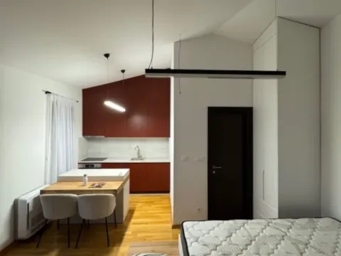 Izdavanje, jednosoban stan, 30m², Zagorič, Podgorica - image 9