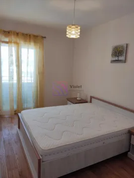 Izdavanje, jednosoban stan, 42m², Central Point, Podgorica - image 10