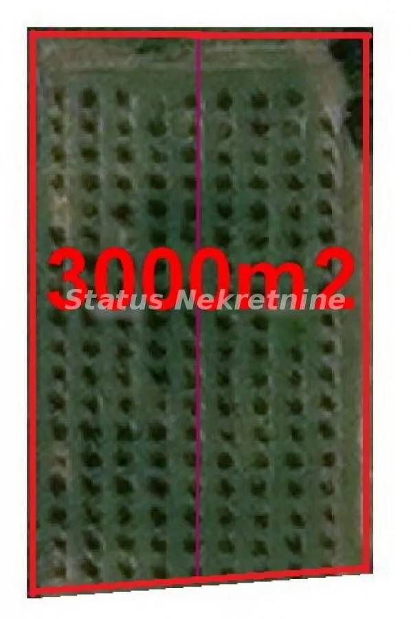 Prodaja, plac, 3000m², Banja Vrdnik, Irig
