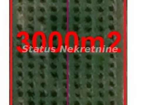 Prodaja, plac, 3000m², Banja Vrdnik, Irig - image 2