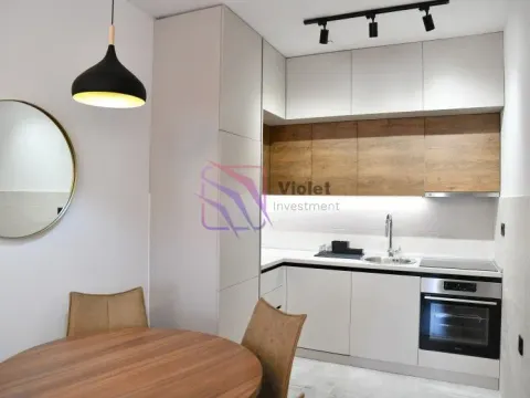 Rent, one bedroom apartment, 48m², Ljubović, Podgorica - image 4