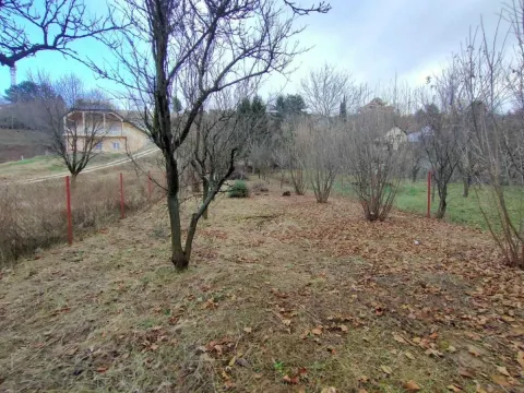 Prodaja, plac, 1000m², Sremska Kamenica, Petrovaradin - image 1