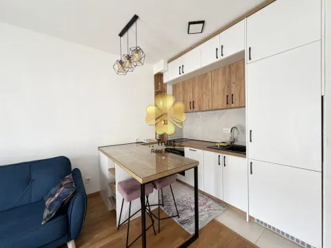 Rent, one bedroom apartment, 45m², Stari Aerodrom, Podgorica - image 4