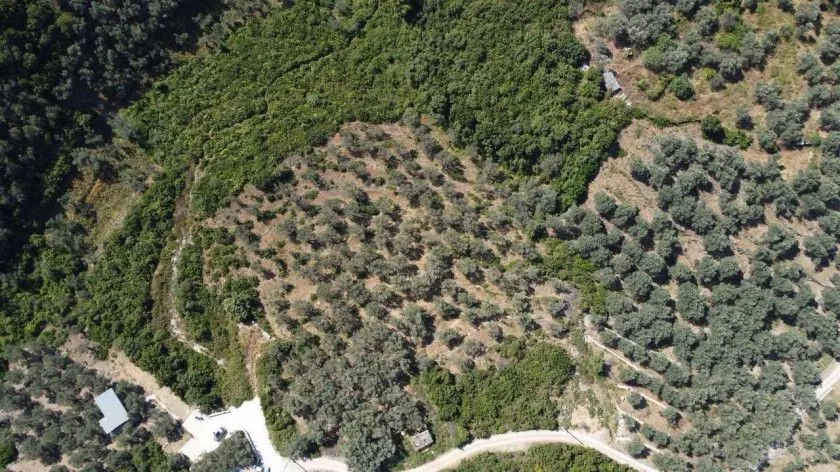 Sale, land lot, 1996m², Centar, Ulcinj