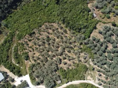 Zemljište in Centar