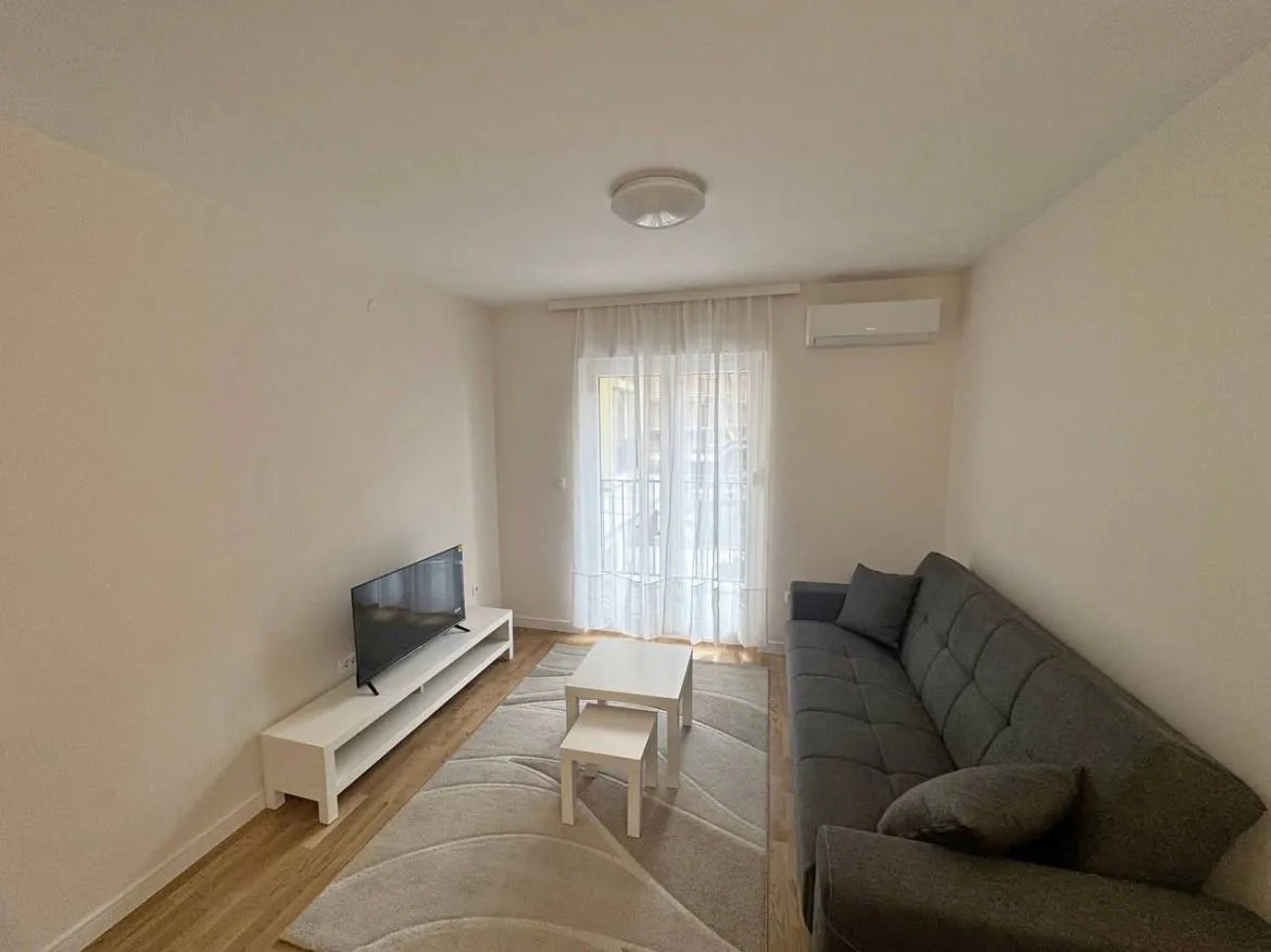 Rent, one bedroom apartment, 44m², Pobrežje, Podgorica