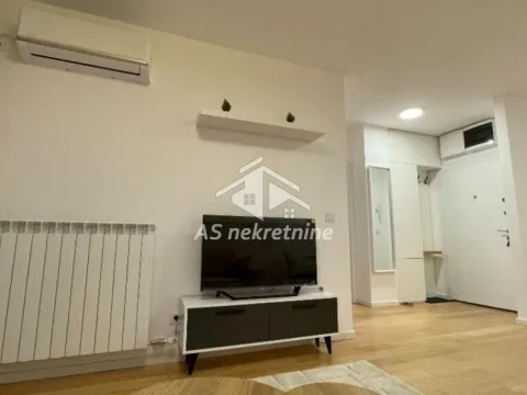 Izdavanje, dvosoban stan, 46m², Višnjička Banja, Palilula Sve Podlokacije - image 3