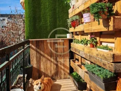 Sale, two bedroom apartment, 50m², Grbavica, Novi Sad Sve Podlokacije - image 15