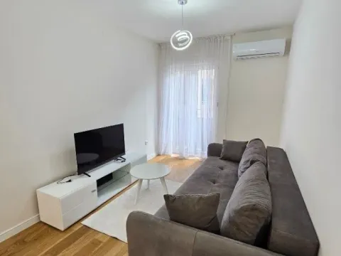 Izdavanje, jednosoban stan, 43m², Central Point, Podgorica - image 10