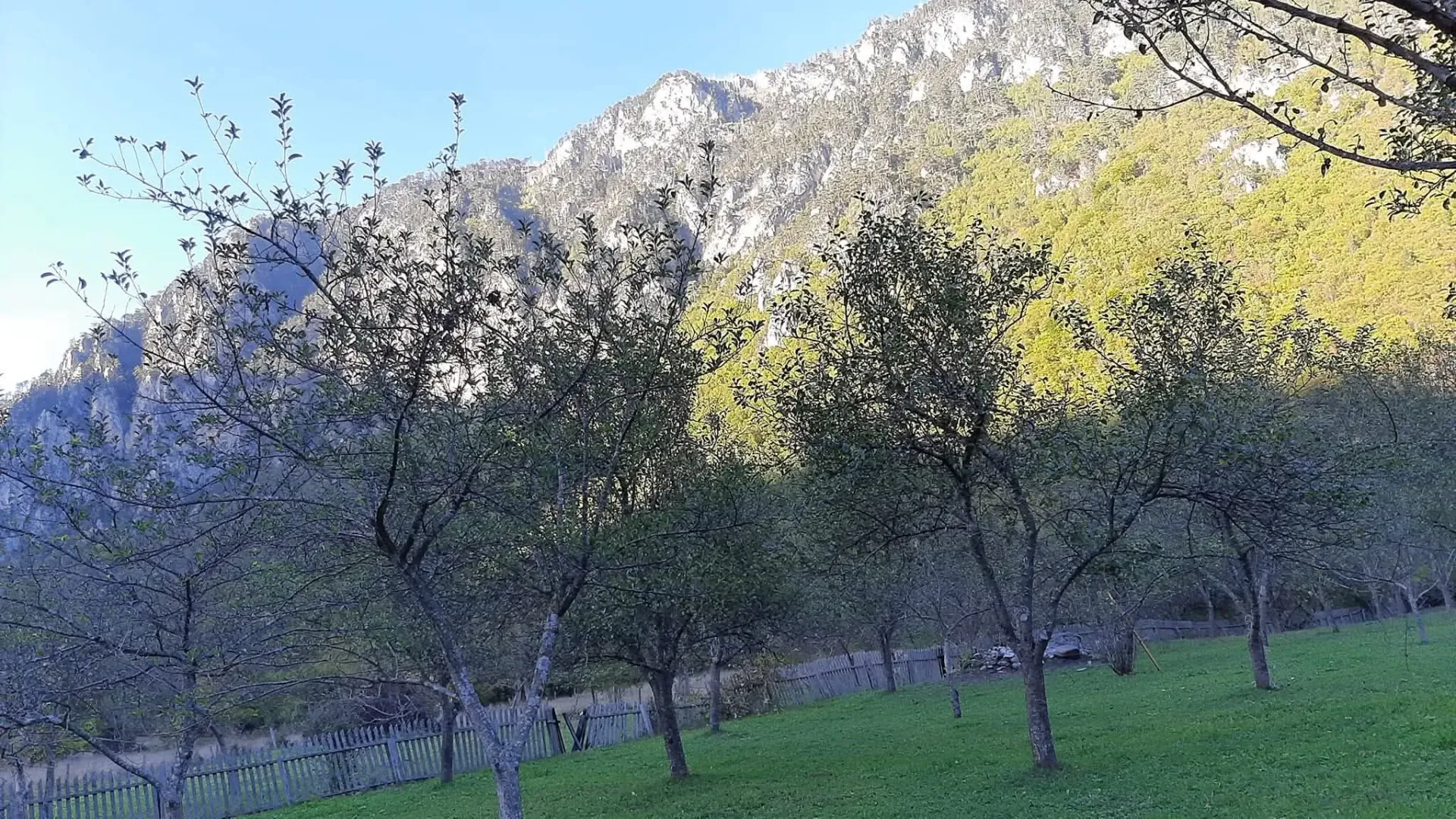 Prodaja, plac, 4000m², Dobrilovina, Mojkovac