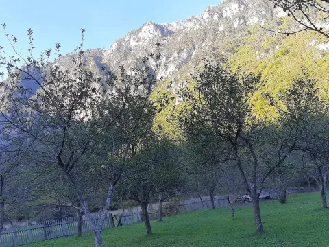 Prodaja, plac, 4000m², Dobrilovina, Mojkovac - image 13