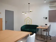 Izdavanje, poslovni prostor, 250m², Bogoslovija, Palilula Sve Podlokacije - image 3