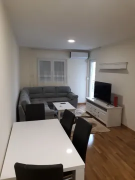 Rent, one bedroom apartment, 44m², Zagorič, Podgorica - image 3