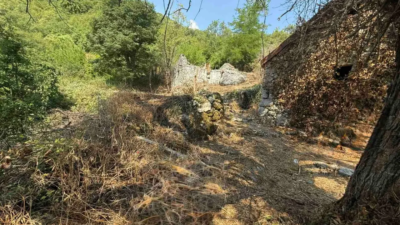 Prodaja, plac, 10000m², Cetinje, Crna Gora