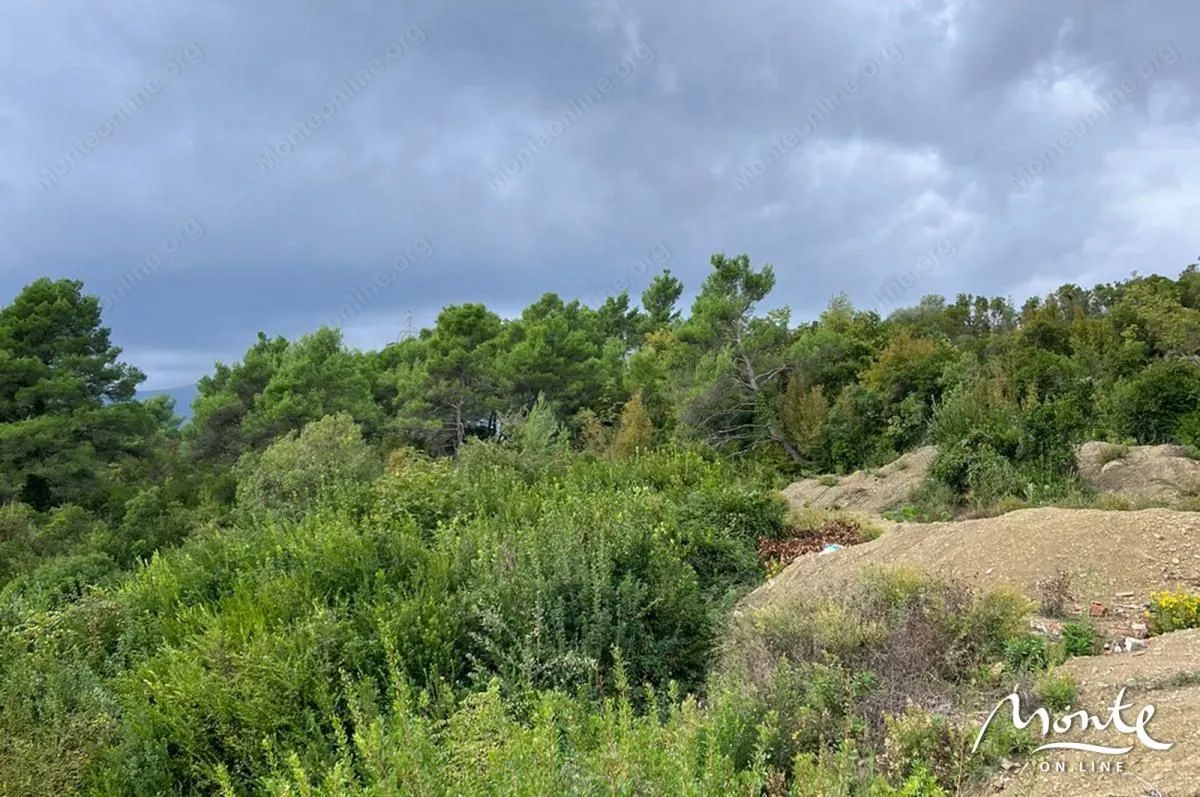 Prodaja, plac, 1219m², Tivat, Crna Gora