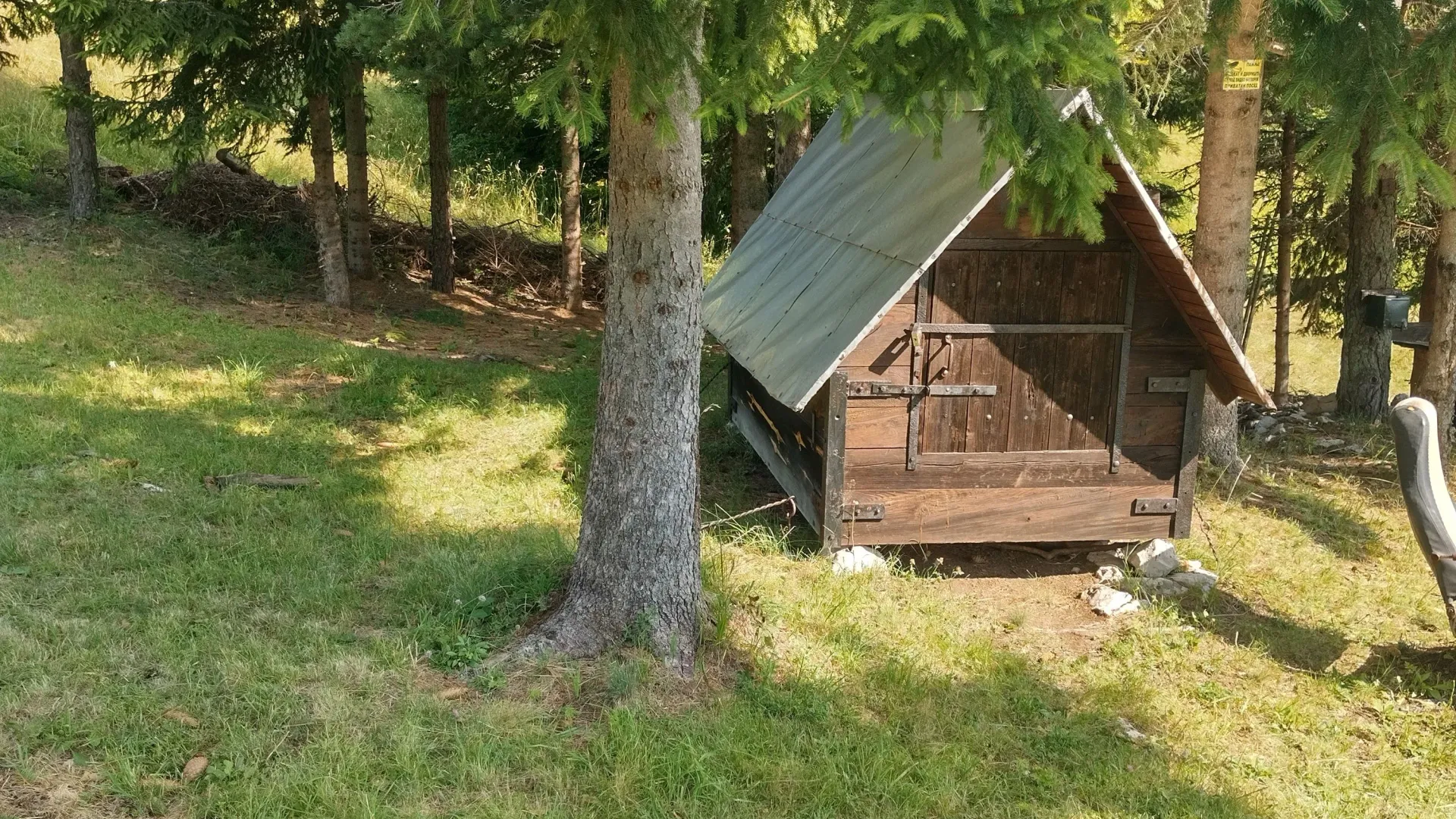 Prodaja, plac, 7000m², Mokra gora, Tara